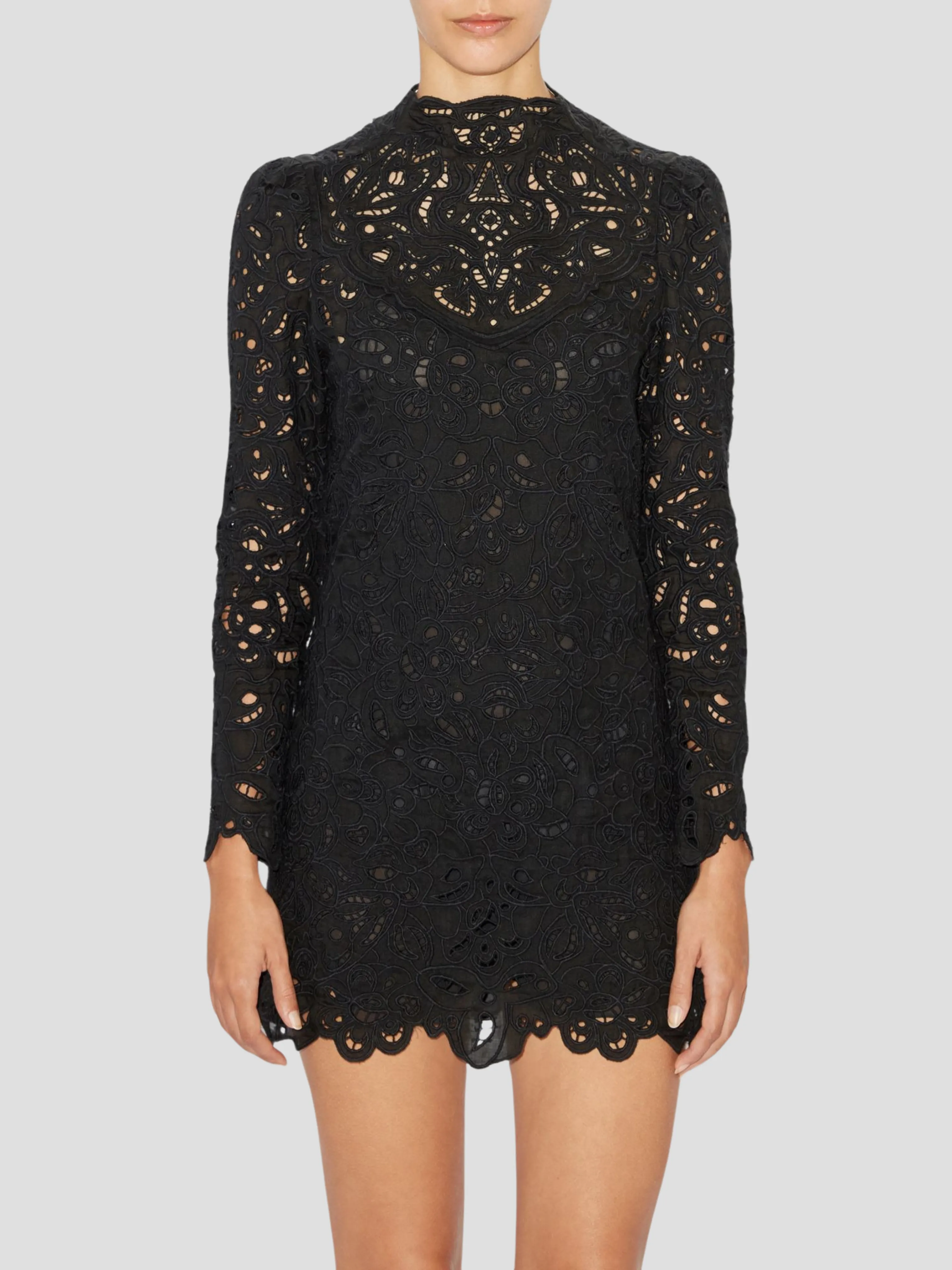 Black Daphne Floral Embroidery Mini Dress