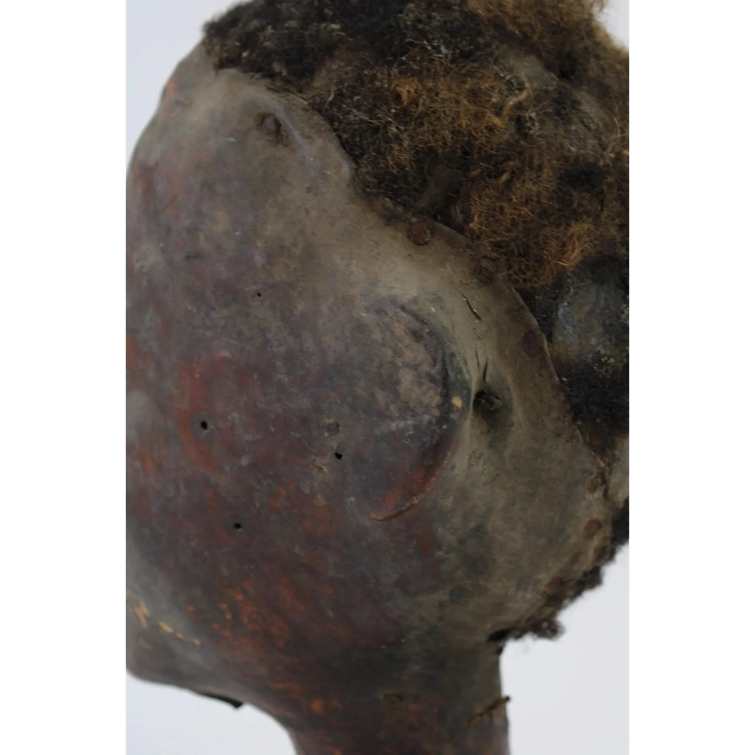 Ekoi Ejagham Hide Covered Headdress, Nigeria #973