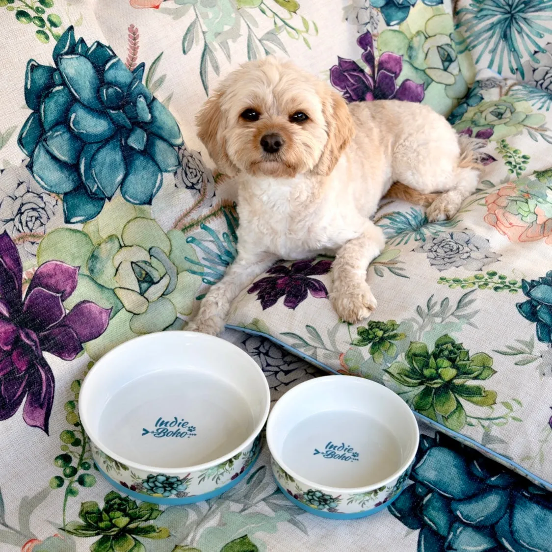 Succulent Medley - Ceramic Dog Bowls